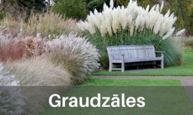 Graudzāles