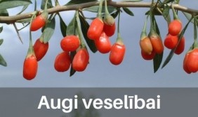 Augi veselībai